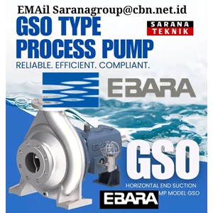 EBARA GSO TYPE PROCESS PUMP PT. SARANA TEKNIK